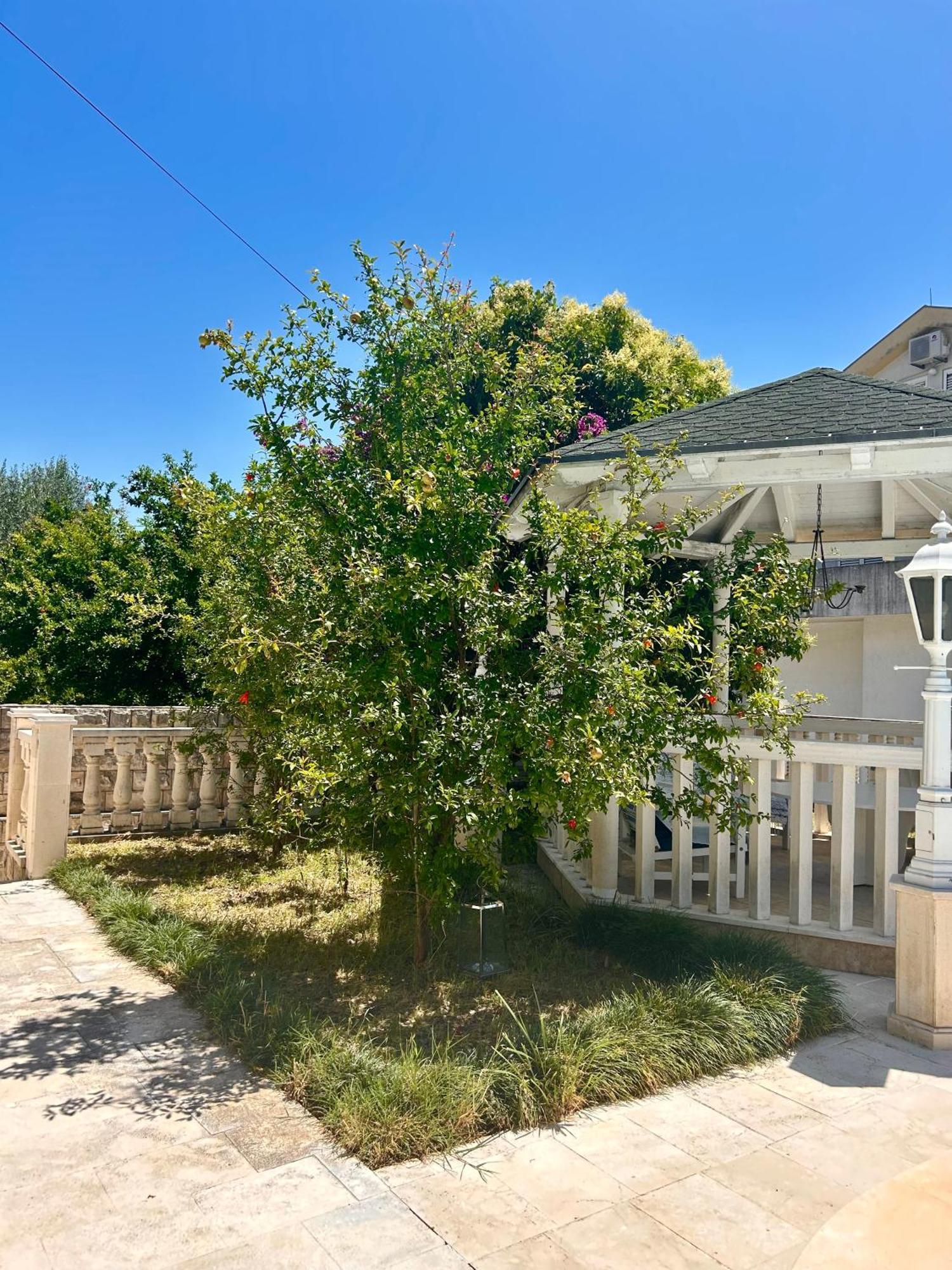 Guest House Vila Eli 헤르섹 외부 사진